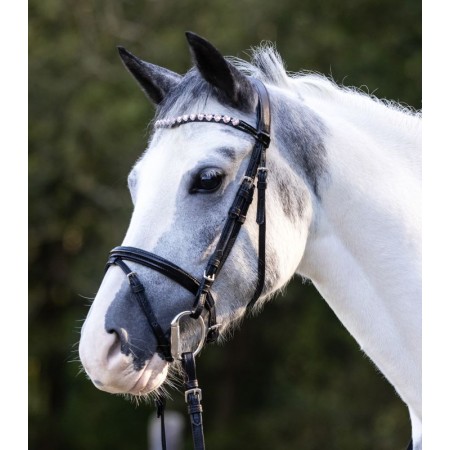 Cabezada de montar "HAPPY HEARTS" para Poni de WALDHAUSEN