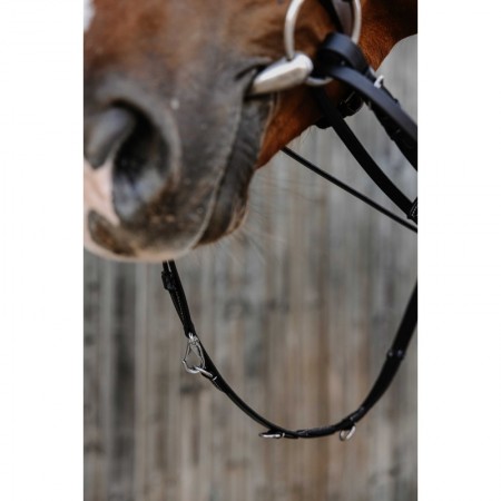 Sistema Thiedeman o Howlett Norton Pro