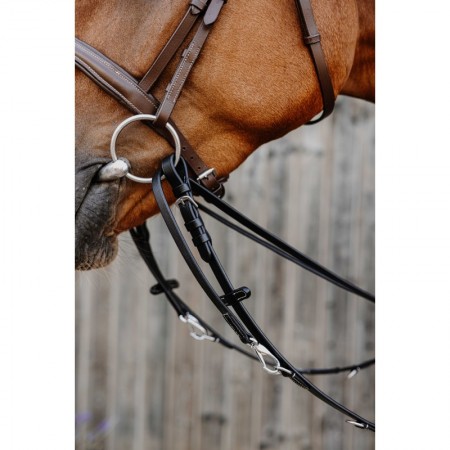 Sistema Thiedeman o Howlett Norton Pro