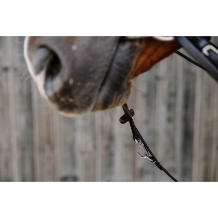 Sistema Thiedeman o Howlett Norton Pro