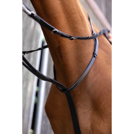 Sistema Thiedeman o Howlett Norton Pro
