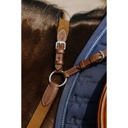 Pechopetral "5 PUNTOS" de NORTON PRO
