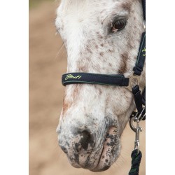 Cabezada de cuadra "STOUT! LIME" para Poni de HARRY'S HORSE 2