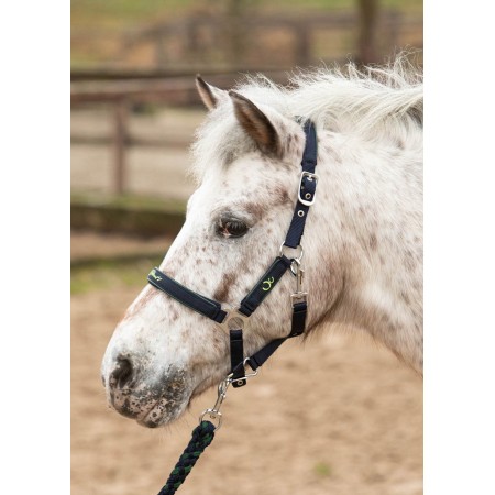 Cabezada de cuadra "STOUT! LIME" para Poni de HARRY'S HORSE