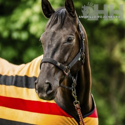 Cabezada de cuadra "NEWMARKET" de HORSEWARE 2