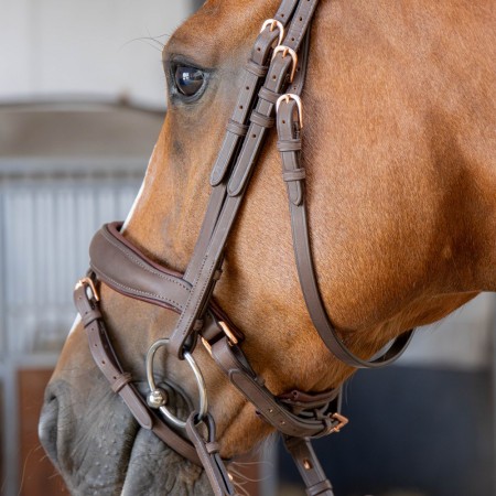 Cabezada de montar "BOMBASTIC CRYSTALS" de HARRY'S HORSE