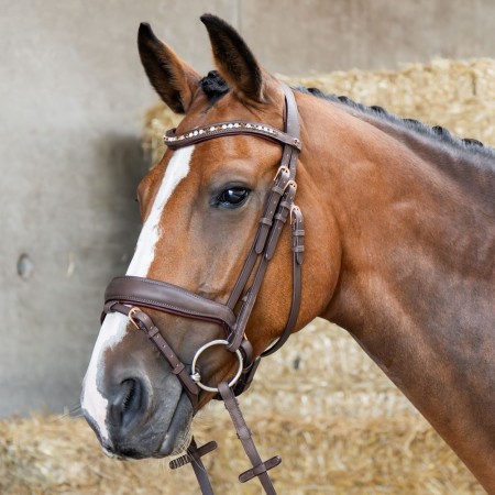 Cabezada de montar "BOMBASTIC CRYSTALS" de HARRY'S HORSE