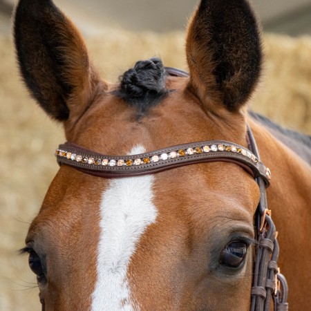 Cabezada de montar "BOMBASTIC CRYSTALS" de HARRY'S HORSE