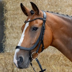 Cabezada de montar "ANATOMIC BLACK CRYSTAL" de HARRY'S HORSE