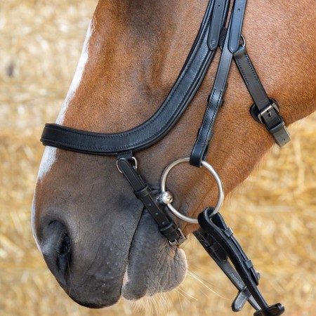Cabezada de montar "ANATOMIC BLACK CRYSTAL" de HARRY'S HORSE