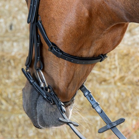 Cabezada de montar "ANATOMIC BLACK CRYSTAL" de HARRY'S HORSE