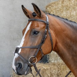 Cabezada de montar "MEXICAANS ANATOMIC" de HARRY'S HORSE