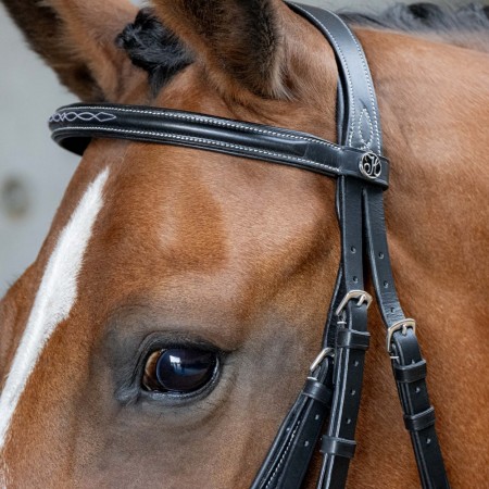 Cabezada de montar "MEXICAANS ANATOMIC" de HARRY'S HORSE