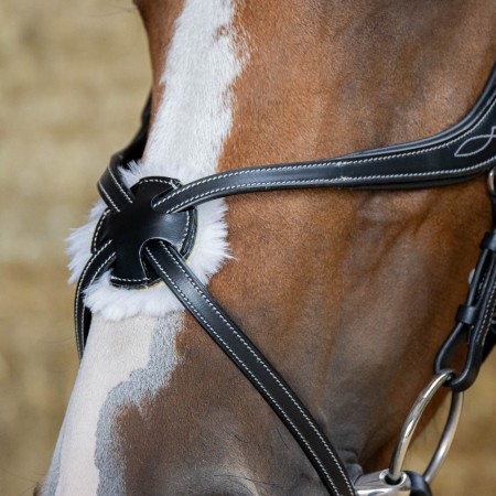 Cabezada de montar "MEXICAANS ANATOMIC" de HARRY'S HORSE