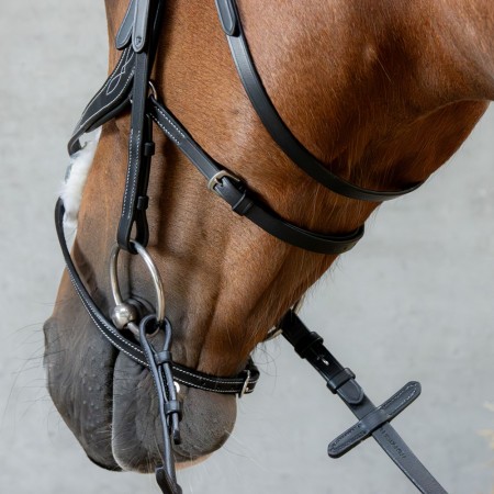 Cabezada de montar "MEXICAANS ANATOMIC" de HARRY'S HORSE
