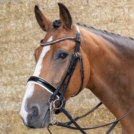 Cabezada de Doble Rienda "S&T SOFT ROSEGOLD" de HARRY'S HORSE