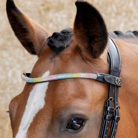 Frontalera "RAINBOW" de HARRY'S HORSE