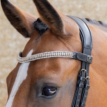 Frontalera "CLINCHER" de HARRY'S HORSE
