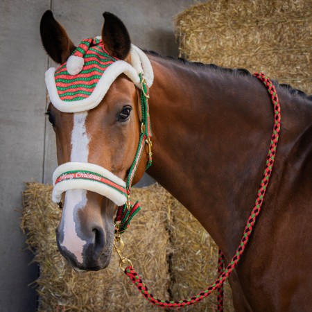 Pack de Cabezada de cuadra + Ramal + Orejeras "CHRISTMAS" de HARRY'S HORSE