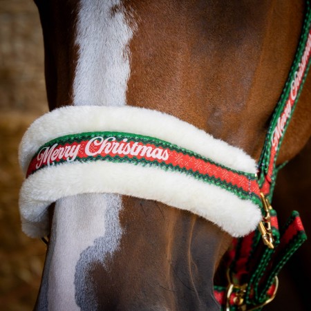 Pack de Cabezada de cuadra + Ramal + Orejeras "CHRISTMAS" de HARRY'S HORSE