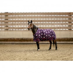 Manta de exterior "UNICORN 600D" para Poni de EQUITHÈME 2