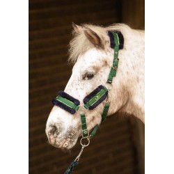 Cabezada de cuadra "STOUT! LIME" con borreguito de HARRY'S HORSE 2