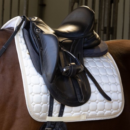 Mantilla "EQS IVORY" de HARRY'S HORSE