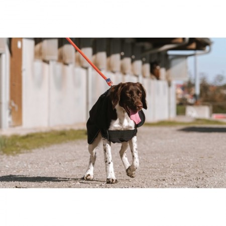 Manta para perro "SOFTSHELL" de EQUITHÈME