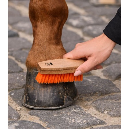 Cepillo para cascos de WALDHAUSEN