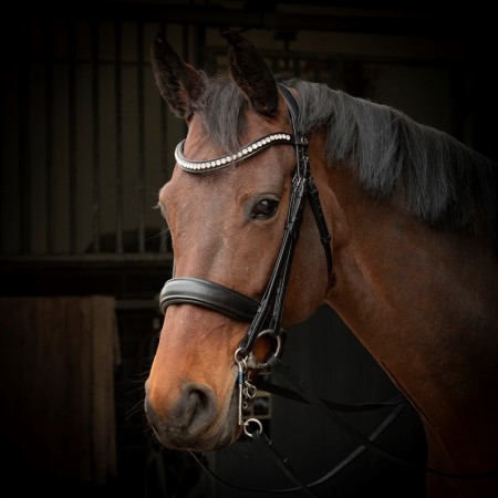 Cabezada de Doble Rienda "SOFT CRYSTAL" de HARRY'S HORSE