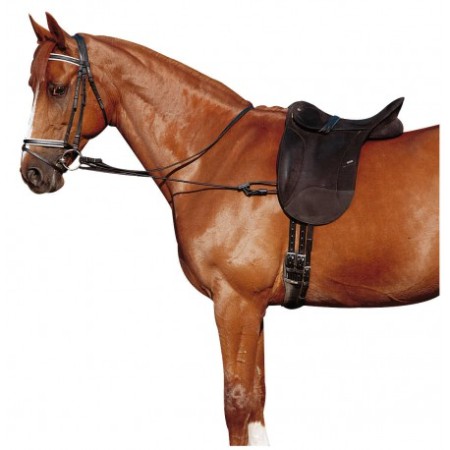 Chambón Elástico Ajustable de Norton para Caballo