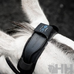 Protector de testera "IONIC CALMANTE" de HORSEWARE