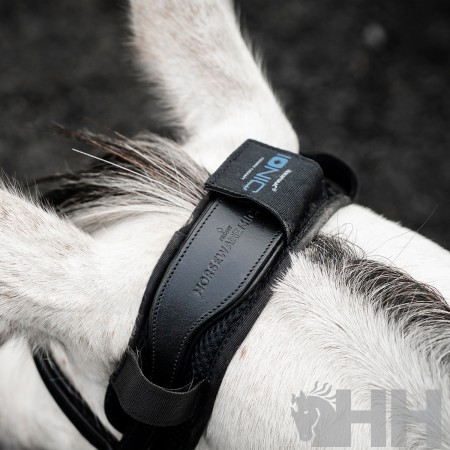 Protector de testera "IONIC CALMANTE" de HORSEWARE