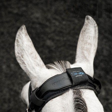 Protector de testera "IONIC CALMANTE" de HORSEWARE