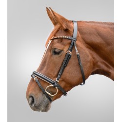Cabezada de montar "ROSEGOLD"  de STAR