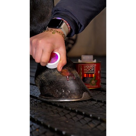 Aceite para Cascos "Hoof Dressing líquido purpurina rosa" de KEVIN BACON'S