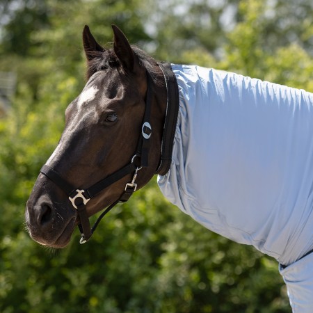 Comprar manta anti-eczema para caballo Online