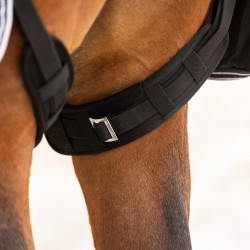Protectores para cintas traseras de QHP 2