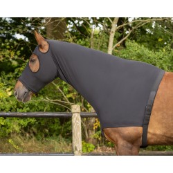 Protector de Cuello y Cara de QHP