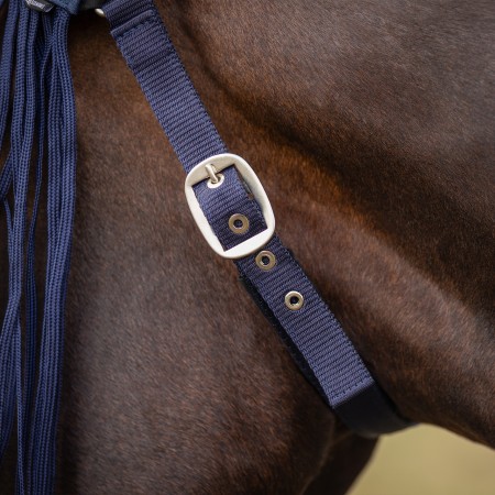 Frontalera con mosquero Q-ESSENTIALS