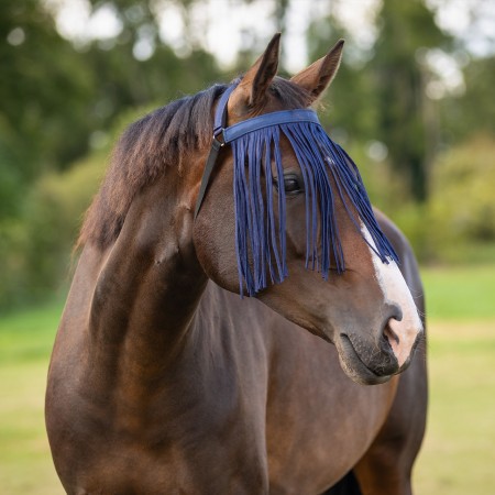 Frontalera con mosquero Q-ESSENTIALS