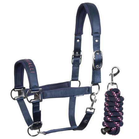 Cabezada de cuadra "DENICI CAVALLI Purple passion" Satin de HARRY'S HORSE