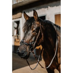Protector nasal contra ratos UV de EQUITHÈME 2