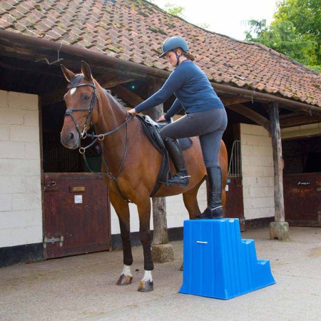 Comprar Escalera Reparo Para Caballos