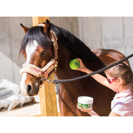 Gel repelente de Insectos "PROTECT" de RAVENE