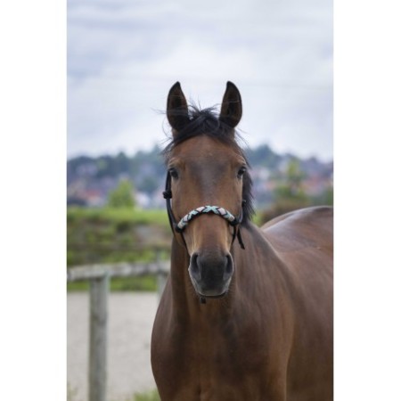 Cabezada de Nudos para Caballos Etológica Norton "Pearl"