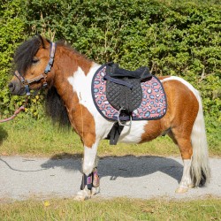 Mantilla de Uso General "DIVA Mauvewood" de HARRY'S HORSE 2