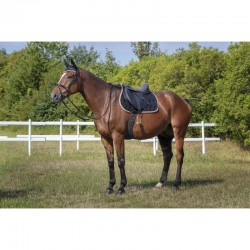 OT Orejeras "POLYFUN" de EQUITHÈME Violeta Talla Poni 2