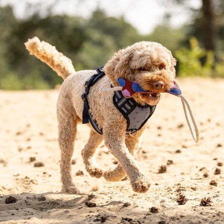 Juguete para perros "DOG TOY COLLECTION" de QHP