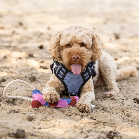 Juguete para perros "DOG TOY COLLECTION" de QHP